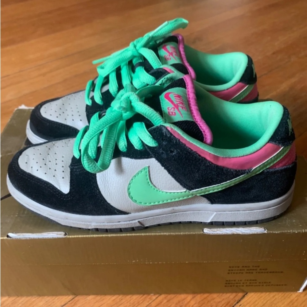 Nike Dunk Low Pro SB “Poison” RARE